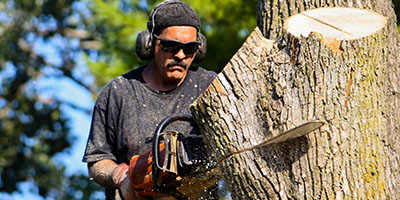 Man Using a Chainsaw
